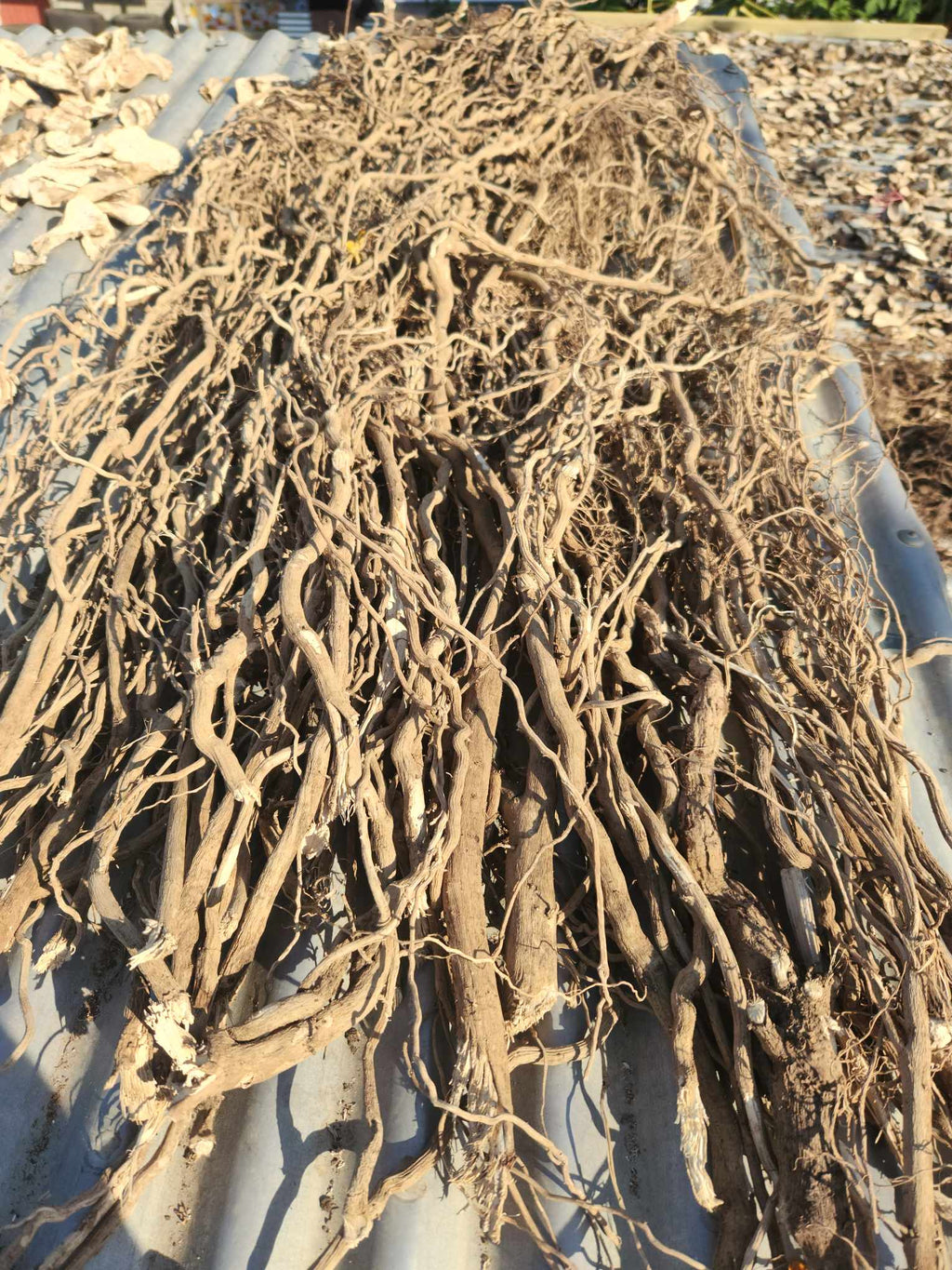 Fijian Gold 450g by Royal Fiji Kava